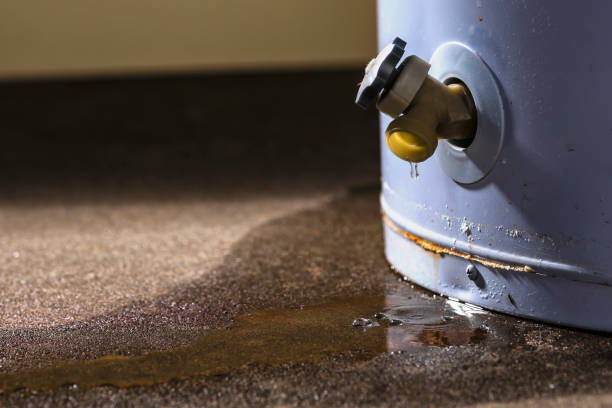 Best Water damage restoration near me  in Fowler, CA