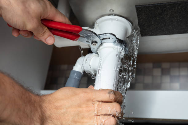 Best Mold removal after water damage  in Fowler, CA