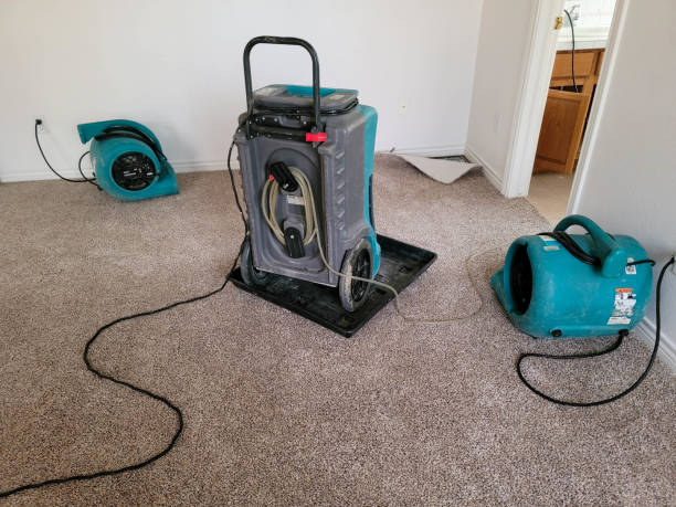 Best Professional water damage repair  in Fowler, CA