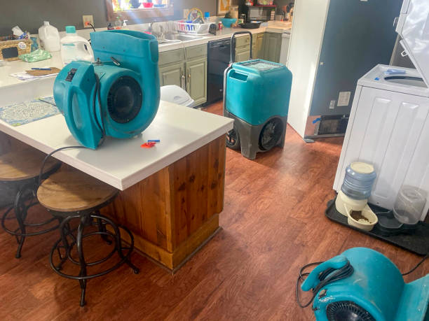 Best Water damage contractors near me  in Fowler, CA