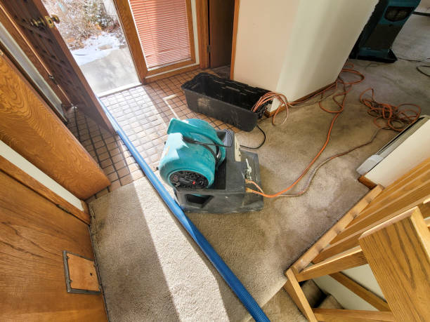 Best Fire Damage Restoration  in Fowler, CA