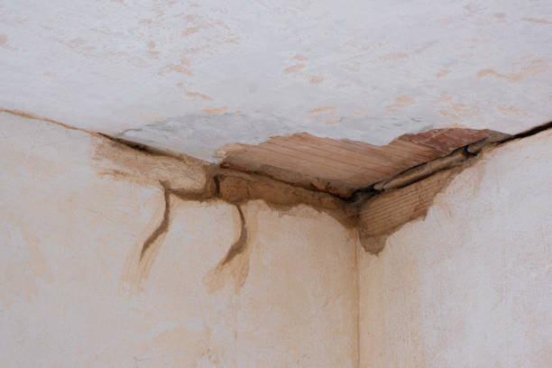 Best Water damage restoration process  in Fowler, CA