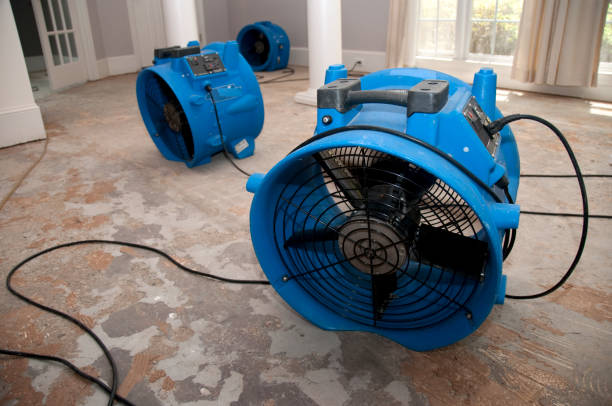 Best Water damage cleanup near me  in Fowler, CA