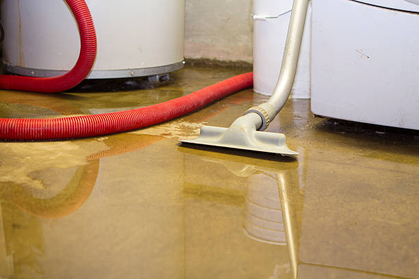 Best Flood damage cleanup  in Fowler, CA
