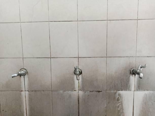 Best Water damage repair service  in Fowler, CA
