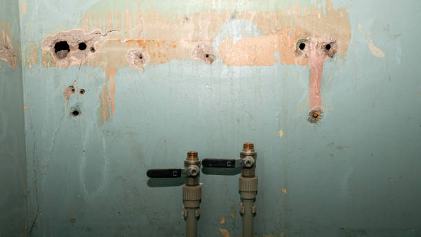 Best Water damage restoration near me  in Fowler, CA