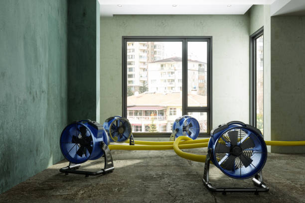 Best Water damage cleanup near me  in Fowler, CA